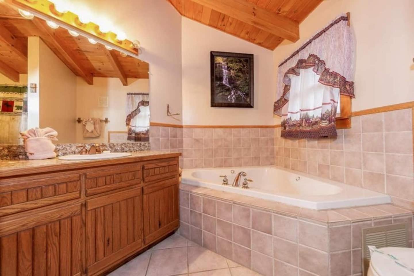 Pigeonforge Cabin Game Roomdog Friendlyhot Tub Pigeon Forge Luaran gambar